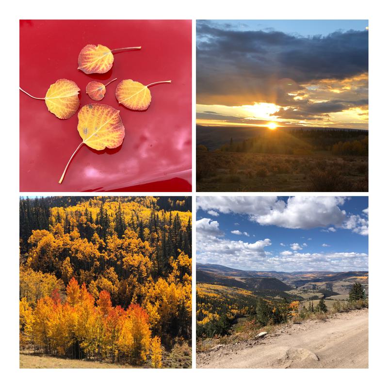 top left: five gold aspen leaves on red background, top right: sun setting, bottom left: colorful aspen on hillside, bottom right: dirt road, blue sku, aspen trees